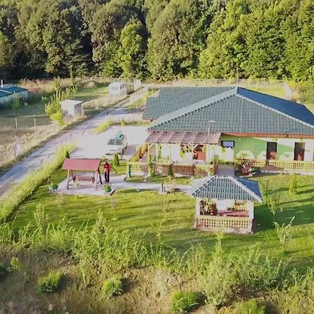 Agropensiunea Valea Fagilor Luncavita Zewnętrze zdjęcie