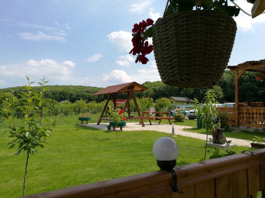 Agropensiunea Valea Fagilor Luncavita Zewnętrze zdjęcie