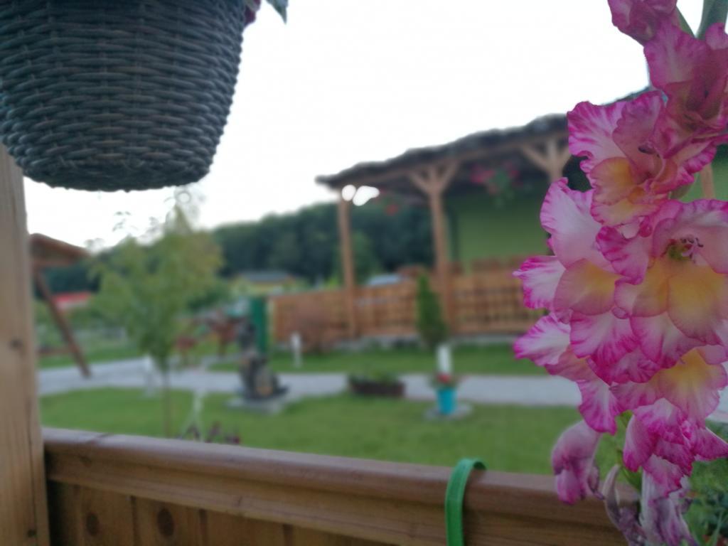 Agropensiunea Valea Fagilor Luncavita Zewnętrze zdjęcie